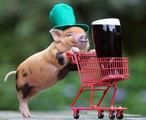 images_pig_cute_shopping