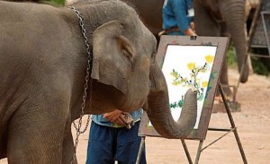 images_creative_elephant