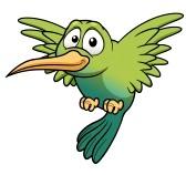 images_hummingbird