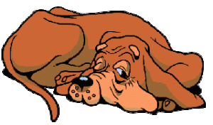 images_funny_watch_dog