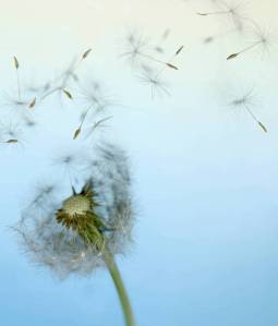 images_let_go_move_on