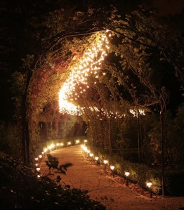 images_lighting_the_path
