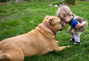 images_cute_dog_and_kid