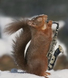 images_funny_squirrel_playing_saxophone