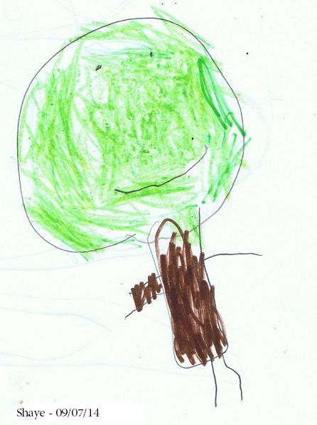 Shaye's drawing_tree