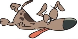 images_dog_exhausted