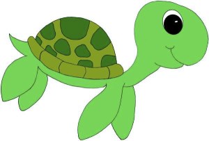images_little_turtle