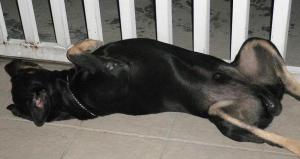 Sorry I've to add one of your outrageous antics...