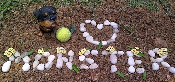 You'll always be our guardian angel ☜(˚▽˚)☞