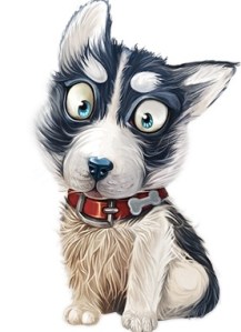 images_alaskan_husky_puppies