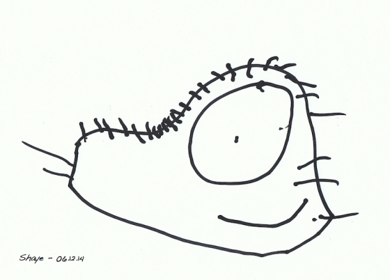 shaye's drawing_dibo