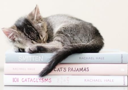 cute kitten sleeping on books