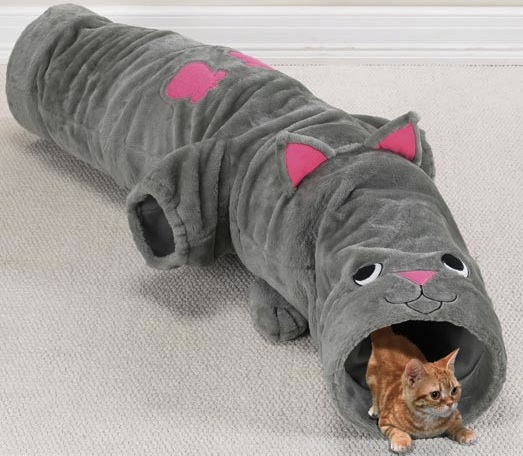 (Photo credit: tunnel.alotspace.com)