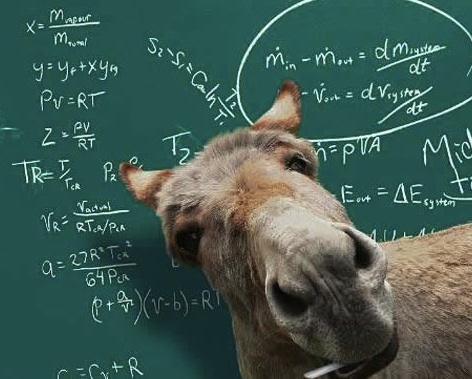 New Math Teacher   (Photo credit: www.funxite.com)