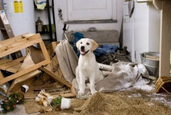 (Photo credit: www.brain-magazine.fr)