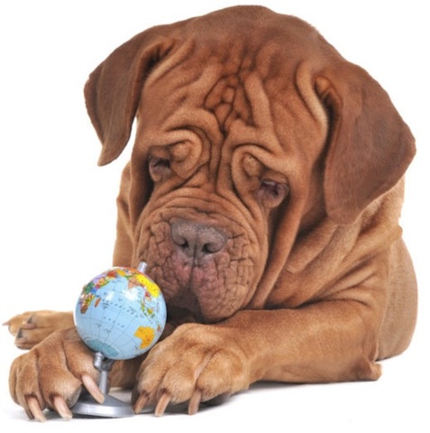 funny_dog_with_world_globe
