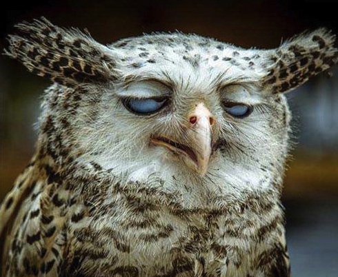 (Photo credit: www.justpo.st)