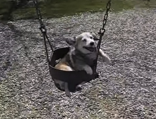 (Photo credit: www.viralspell.com)