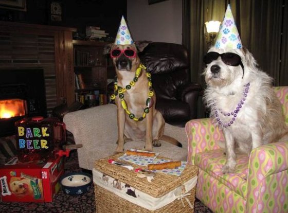 (Photo credit: www.pixshark.com)