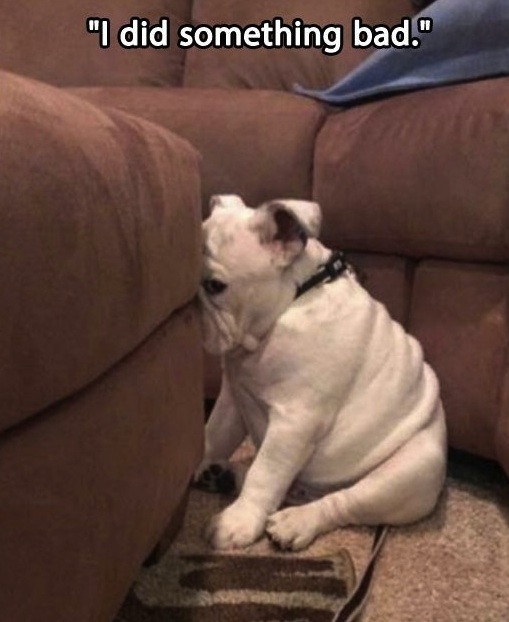 (Photo credit:  www.funnyasduck.net)