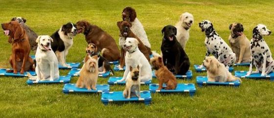 (Photo credit: www.likeimage.com)