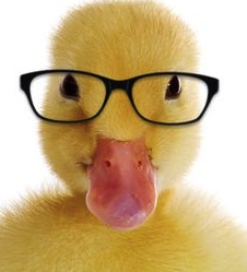 Photo credit: www.pinterest.com