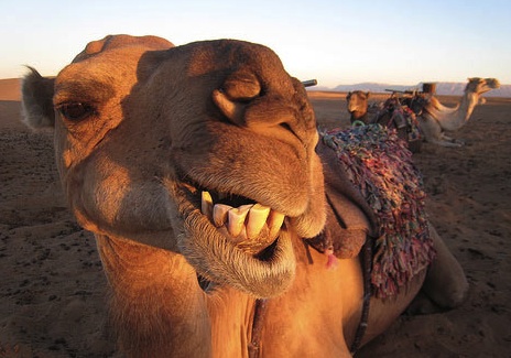 (Photo credit: www.tumblr.com)