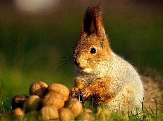 (Photo credit: www.lovethesepics.com)