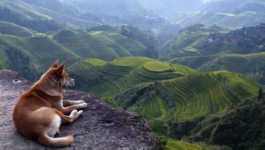 (Photo credit: www.funnyasduck.net)