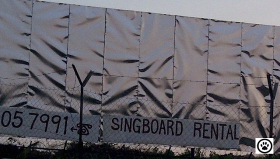 ....let me take a closer look!