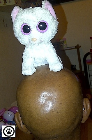 See...my dad is really bald!