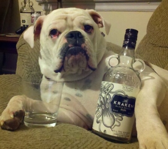 (Photo credit: www.baggybulldogs.wordpress.com)