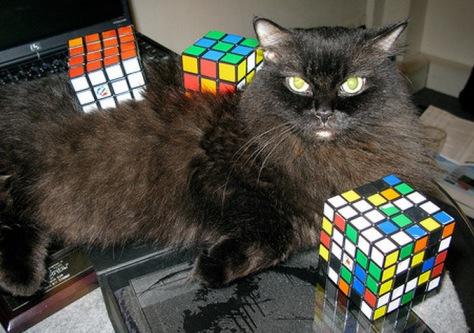 (Photo credit: www.theverybesttop10.com)