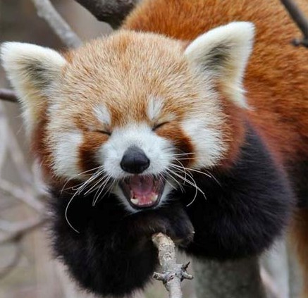 (Photo credit: www.signsfunny.com)