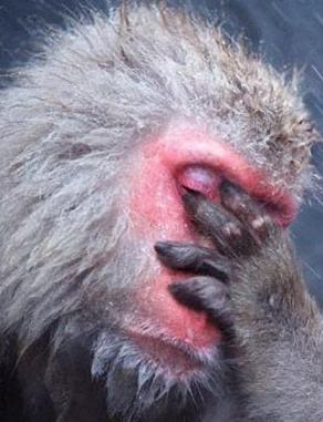 (Photo credit: www.chive.com)