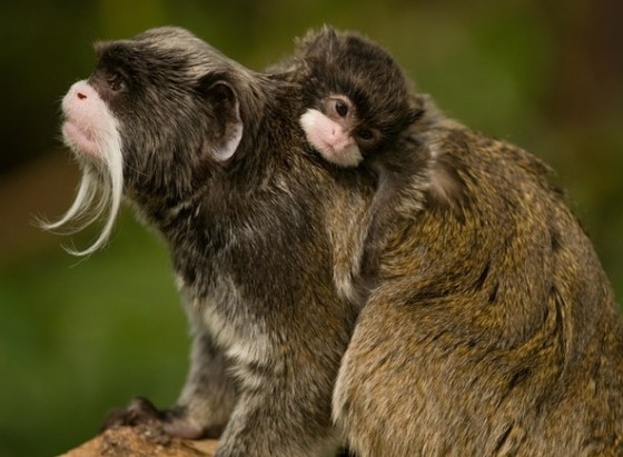 (Photo credit: www.guardian.com)