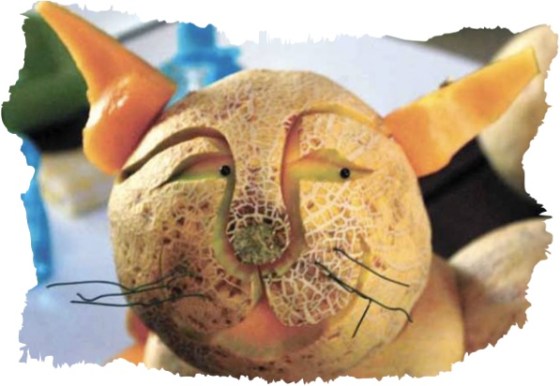 Photo by: Kelly Tippett