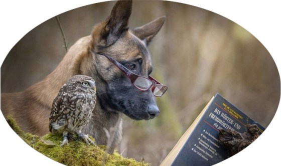 "Great minds think alike." (http://smash.com)