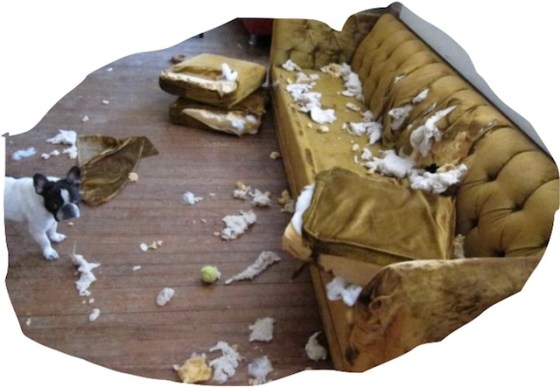 "I was just looking for my other tennis ball." (Photo credit: www.giftsdirect.com)