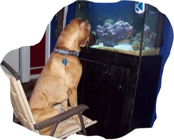  (Photo credit: www.justsomething.co)