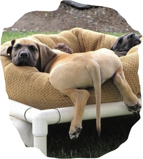  (Photo credit: www.datehookup.com)