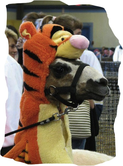 "Tigger-rific!" http://theericalper.com