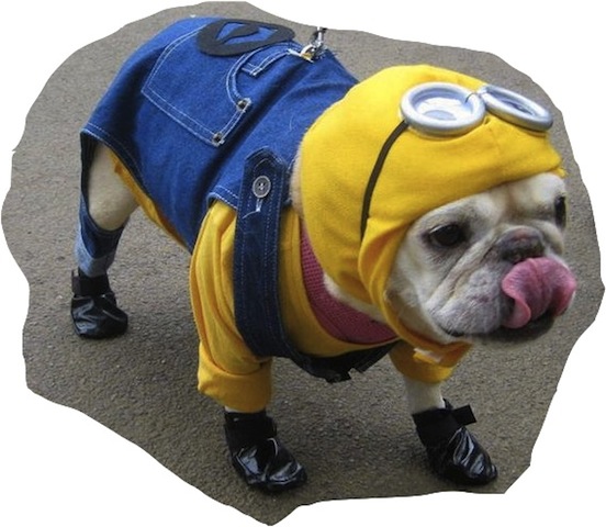 "BOO-tiful!" http://pinterest.com 