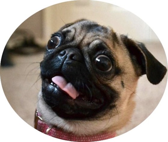 "Yikes!" http://earthporm.com