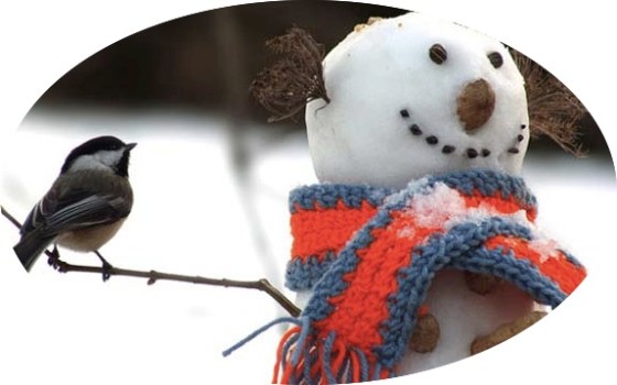 bird and snowman