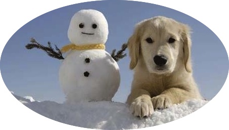 dog and snowman