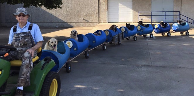 doggie train