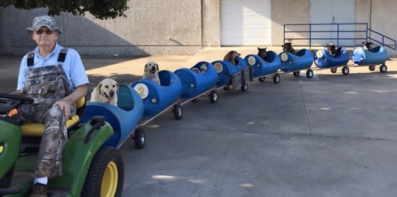 doggie train