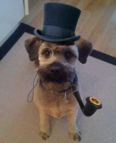 funny dog with hat and pipe