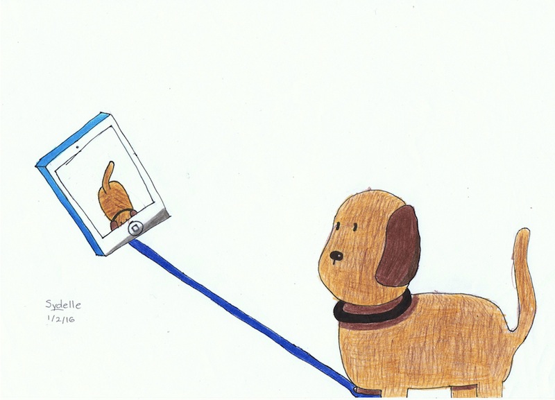 funny dog - selfie stick